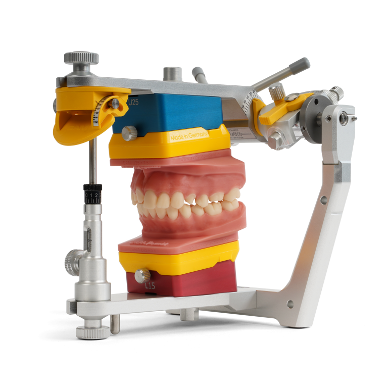 AxioSnapMount SAM Amann Girrbach - Digital model mounting - Printed model in artikulator